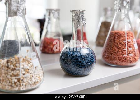 Échantillons de grains gravés et transformés dans des tubes à essai en verre dans un laboratoire d'agrochimie. Banque D'Images