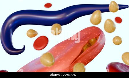 3e rendu de Plasmodium falciparum et de mérozoïte à l'intérieur des globules rouges Banque D'Images