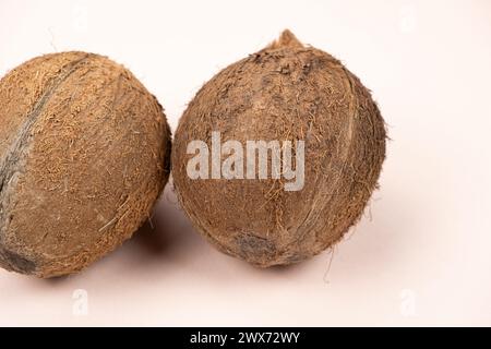 Deux noix de coco brunes gros plan sur fond rose Banque D'Images