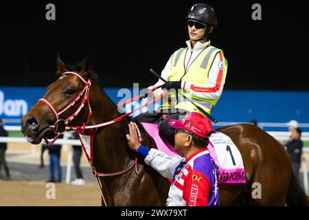 Hippodrome de Meydan, Dubaï, Émirats arabes Unis, jeudi 28 mars 2024 ; Forever Young, un concurrent du Derby des Émirats arabes Unis, survole la scène après avoir participé à des travaux sur piste à l'hippodrome de Meydan, en prévision de la rencontre de la Coupe du monde de Dubaï le samedi 30 mars 2024. Crédit JTW Equine images / Alamy Live News Banque D'Images