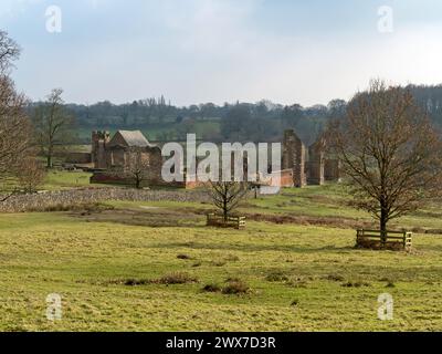 Vue éloignée sur les ruines de Bradgate House (également connu sous le nom de Lady Jane Grey's House) entre les arbres dans Bradgate Park, Leicestershire, England, UK Banque D'Images