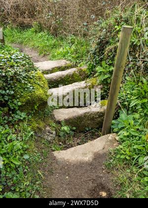 Ancienne / vieille grille de bétail en pierre faite de granit de Cornouailles sur un sentier près de Zennor, Cornouailles, Angleterre, Royaume-Uni Banque D'Images