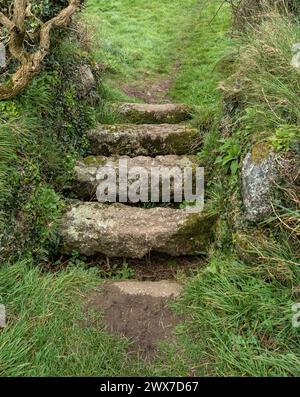 Ancienne / vieille grille de bétail en pierre faite de granit de Cornouailles sur un sentier près de Zennor, Cornouailles, Angleterre, Royaume-Uni Banque D'Images