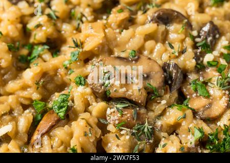 Risotto aux champignons italiens sain avec thym et persil Banque D'Images