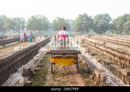 Un travailleur porte des briques au Brickfield à Khulna, au Bangladesh. Banque D'Images