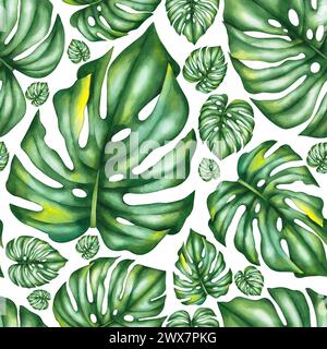 Aquarelle fleurissant motif sans couture avec des feuilles de monstera tropicales. Botanical tropical modèle sans couture pour textiles, tissus, papiers peints, etc Banque D'Images