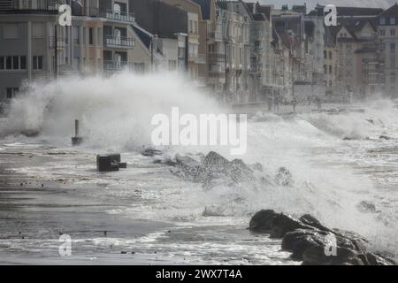 France. 28 mars 2024. © PHOTOPQR/VOIX DU NORD/JOHAN BEN AZZOUZ ; 28/03/2024 ; Wimereux, le 28 mars 2024. Tempete Nelson de passage sur le littoral du pas-de-Calais. La digue promenade etait sous les vagues et la submersion marine lors de la maree haute autour de 14h.. PHOTO JOHAN BEN AZZOUZ LA VOIX DU NORD - tempête Nelson en France Wimereux, Nord pas de Calais 28 mars 2024 crédit : MAXPPP/Alamy Live News Banque D'Images
