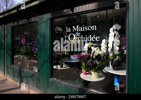 France, région Ile-de-France, Paris Île de la Cité, 4ème arrondissement, Île de la Cité, marché aux fleurs Reine-Elizabeth-II, place Louis Lépine, 'la Maison de l'Orchidée' 21 mars 2024 Banque D'Images