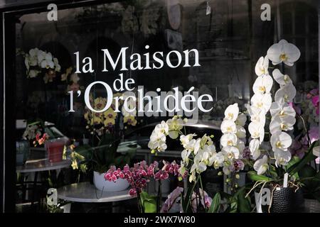 France, région Ile-de-France, Paris Île de la Cité, 4ème arrondissement, Île de la Cité, marché aux fleurs Reine-Elizabeth-II, place Louis Lépine, 'la Maison de l'Orchidée' 21 mars 2024 Banque D'Images