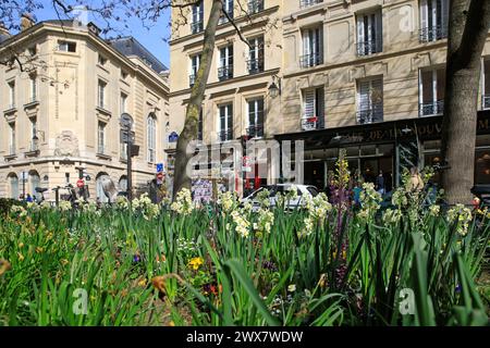 France, région Ile-de-France, 5ème arrondissement, place de l'Estrapade, lieu de tournage de la série 'Emily in Paris'. 21 mars 2024 Banque D'Images