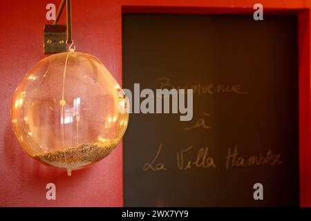 La Villa Hamster à Nantes une chambre d'hôtes insolite conçue par Yann Falqueiro et Fred Tabary. Novembre 2009 Banque D'Images