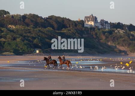 France, région Normandie, Calvados, Côte fleurie, Benerville-sur-mer sur mer, panorama sur la falaise, Banque D'Images