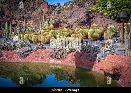 Vue sur le jardin de Cactus créé par l'artiste local Cesar Manrique à Lanzarote. Banque D'Images