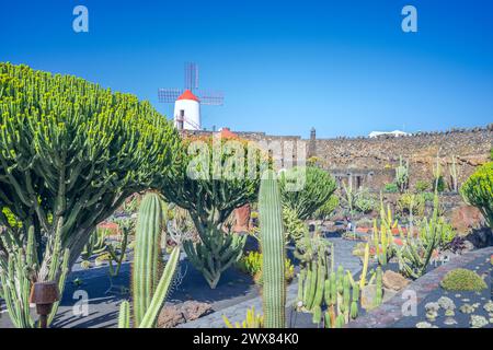 Vue sur le jardin de Cactus créé par l'artiste local Cesar Manrique à Lanzarote. Banque D'Images