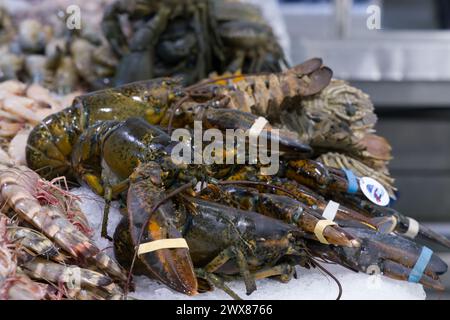 Un étal vendant des crevettes et des homards Banque D'Images