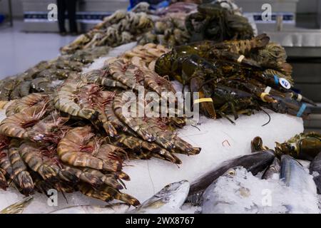 Un étal vendant des crevettes et des homards Banque D'Images