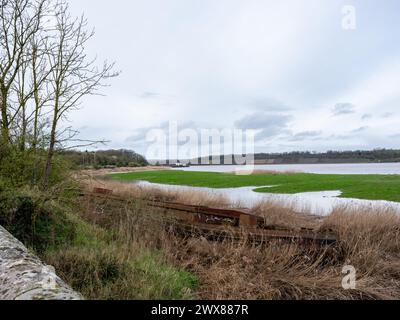 Mars 2024 - Purton Hulks, cimetière de navires dans le Gloucestershire, Angleterre, Royaume-Uni. Banque D'Images