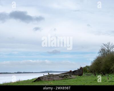 Mars 2024 - Purton Hulks, cimetière de navires dans le Gloucestershire, Angleterre, Royaume-Uni. Banque D'Images