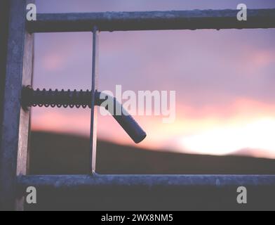 Gouttelettes d'eau sur Une porte après la pluie dans les frontières écossaises au coucher du soleil, avec une profondeur de foyer peu profonde Banque D'Images