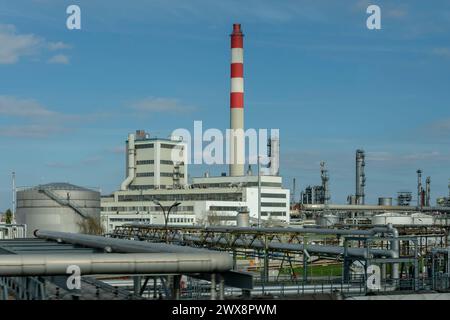 Raffinerie de pétrole et usine industrielle pétrochimique contre le ciel bleu, réservoirs de traitement du pétrole et du gaz, zone industrielle. Banque D'Images