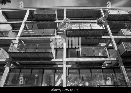 Appartements modernes dans Accordia Housing Development à Cambridge, Royaume-Uni Banque D'Images