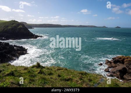 Vue depuis le sentier de la côte sud-ouest de Port Quin Bay, Lundy Bay et les Mouls. (Site d'une ferme controversée d'algues). Banque D'Images