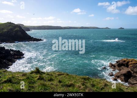 Vue depuis le sentier de la côte sud-ouest de Port Quin Bay, Lundy Bay et les Mouls. (Site d'une ferme controversée d'algues). Banque D'Images