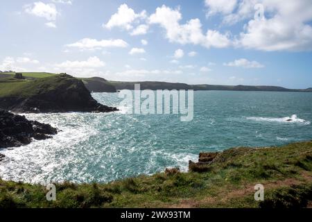 Vue depuis le sentier de la côte sud-ouest de Port Quin Bay, Lundy Bay et le château de Doyden. (Site d'une ferme controversée d'algues). Banque D'Images