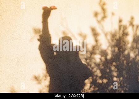Ombre d'une femme portant un chapeau et tenant des lunettes de soleil reflétant sur le mur à la lumière du coucher du soleil Banque D'Images