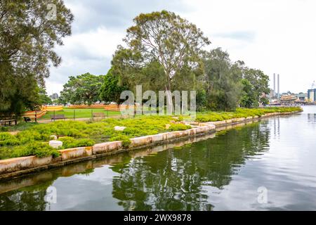 Zones humides et piscines rocheuses établies le long de Johnstons Creek dans le Glebe entre les parcs fédéraux et Bicentennial, Sydney Inner West, Nouvelle-Galles du Sud, Australie Banque D'Images