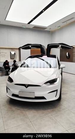 SHANGHAI, CHINE - 26 MARS 2024 - les véhicules à énergie neuve de la série sont exposés dans un magasin Tesla à Shanghai, Chine, le 26 mars 2024. Banque D'Images