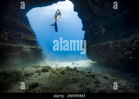 Une jeune femme plongeant librement dans une porte de grotte dans les eaux bleues claires d'Hawaï encadrées par des murs de grotte ombragés. Version de modèle disponible Banque D'Images