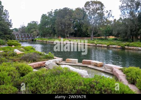 Glebe Sydney, zone humide établie le long du ruisseau Johnstons, y compris les bassins de roche océanique, Nouvelle-Galles du Sud, Australie Banque D'Images