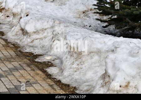 Dérives de neige sale dans le parc au début du printemps Banque D'Images