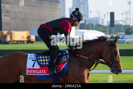 Hippodrome de Meydan, Dubaï, Émirats arabes Unis, vendredi 29 mars 2024 ; Newgate, candidat à la Coupe du monde de Dubaï, et son coureur, participent aux travaux sur piste à l'hippodrome de Meydan, en prévision de la rencontre de la Coupe du monde de Dubaï le samedi 30 mars 2024. Crédit JTW Equine images / Alamy Live News Banque D'Images