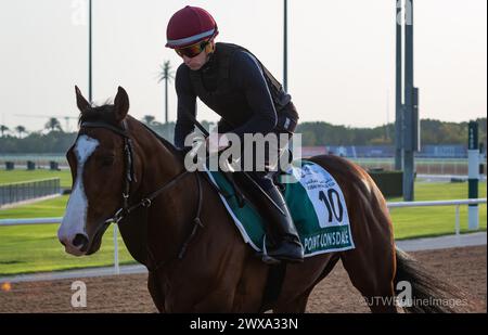 Hippodrome de Meydan, Dubaï, Émirats arabes Unis, vendredi 29 mars 2024 ; le concurrent Sheema Classic point Lonsdale et son coureur participent au travail sur piste à l'hippodrome de Meydan, en prévision de la rencontre de la Coupe du monde de Dubaï le samedi 30 mars 2024. Crédit JTW Equine images / Alamy Live News Banque D'Images