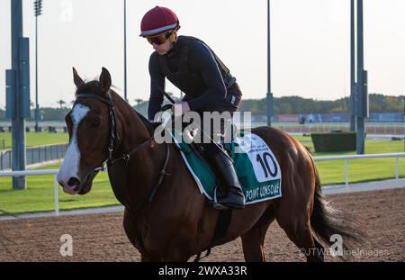 Hippodrome de Meydan, Dubaï, Émirats arabes Unis, vendredi 29 mars 2024 ; le concurrent Sheema Classic point Lonsdale et son coureur participent au travail sur piste à l'hippodrome de Meydan, en prévision de la rencontre de la Coupe du monde de Dubaï le samedi 30 mars 2024. Crédit JTW Equine images / Alamy Live News Banque D'Images