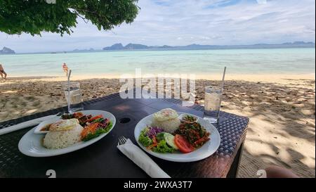 Deux assiettes de plats délicieux sont présentées sur une table en bois, présentant une variété de couleurs, de textures et d'ingrédients. Banque D'Images