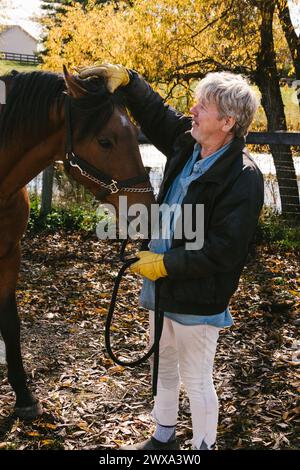 Homme caressant un cheval étalon marron à l'extérieur à l'automne Banque D'Images