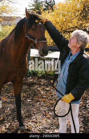 Homme caressant un cheval marron dehors à l'automne Banque D'Images