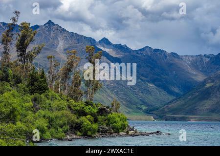 Wilson Bay, Lac Wakatipu, Otago, Île du Sud, Nouvelle-Zélande Banque D'Images