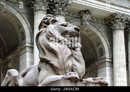 Un lion à l'entrée et gardant la bibliothèque publique de New York est l'un des plus importants dans le monde et avec plus de contenu de l'Amérique et le Banque D'Images