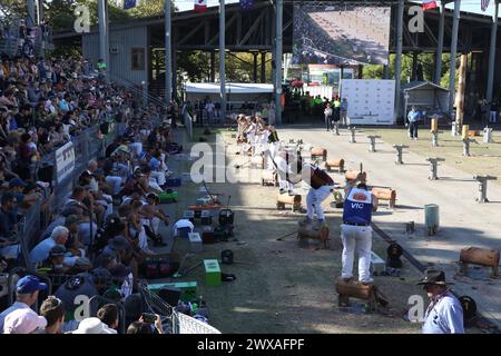 Sydney, Australie. Vendredi 29 mars 2024. Le Sydney Royal Easter Show se déroule du 22 mars au 2 avril 2024 au parc olympique de Sydney. Crédit : RM/Alamy Live News Banque D'Images