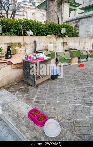 Une ligne de maisons temporaires pour chats et de nourriture pour chats errants à Istanbul, Turquie, ville des chats Banque D'Images