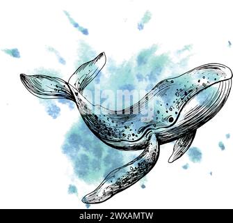 Clipart du monde sous-marin avec des animaux de mer baleine, tortue, poulpe, hippocampe, étoile de mer, coquillages, corail et algues. Illustration graphique dessinée à la main Illustration de Vecteur