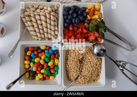 Une variété de différents types d'aliments soigneusement disposés sur un plateau blanc, présentant une gamme de couleurs, de textures et de saveurs. Banque D'Images