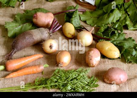 En gros plan, les fruits mûrs, les betteraves, les carottes, les pommes de terre et les oignons reposent sur le tissu. Banque D'Images