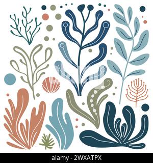 Icônes d'algues définies. Différentes algues colorées mignonnes. Icône de plantes marines isolé sur fond blanc. Illustration vectorielle Illustration de Vecteur