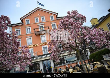 Karfreitag am Bodensee, Menschen sitzen am Karfreitag, BEI zwanzig Grad Lufttemperaturunter, unter einem blühenden Magnolienbaum BEI Lindau am Bodensee. Lindau Bayern Deutschland Lindau *** vendredi Saint au lac de Constance, les gens sont assis le vendredi Saint, à vingt degrés de température sous un magnolia en fleurs près de Lindau au lac de Constance Lindau Bavière Allemagne Lindau Copyright : x xonw-imagesx/xMariusxBullingx Banque D'Images