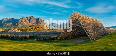 Village de Henningsvaer, îles Lofoten, Norvège, séchage traditionnel de la morue, séchage sur des étagères en bois dans les îles Lofoten Banque D'Images